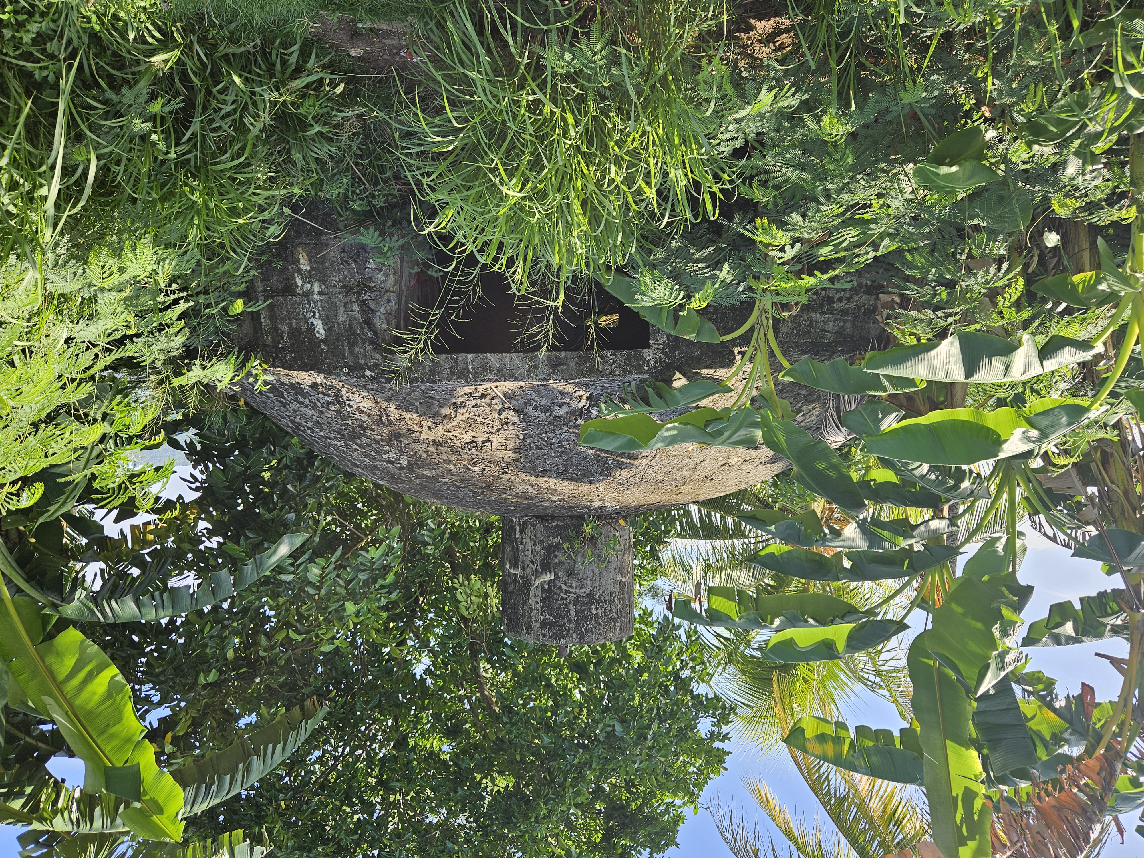Igloo Rear Entrance 1.jpg