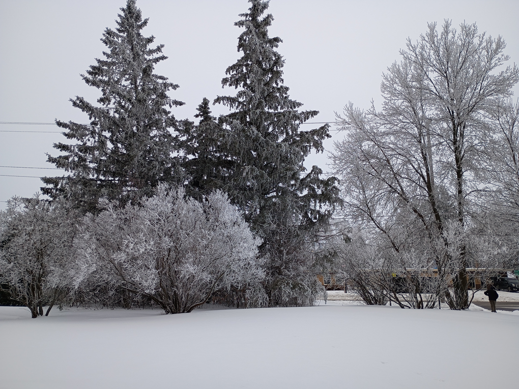 natural flocking 4.png