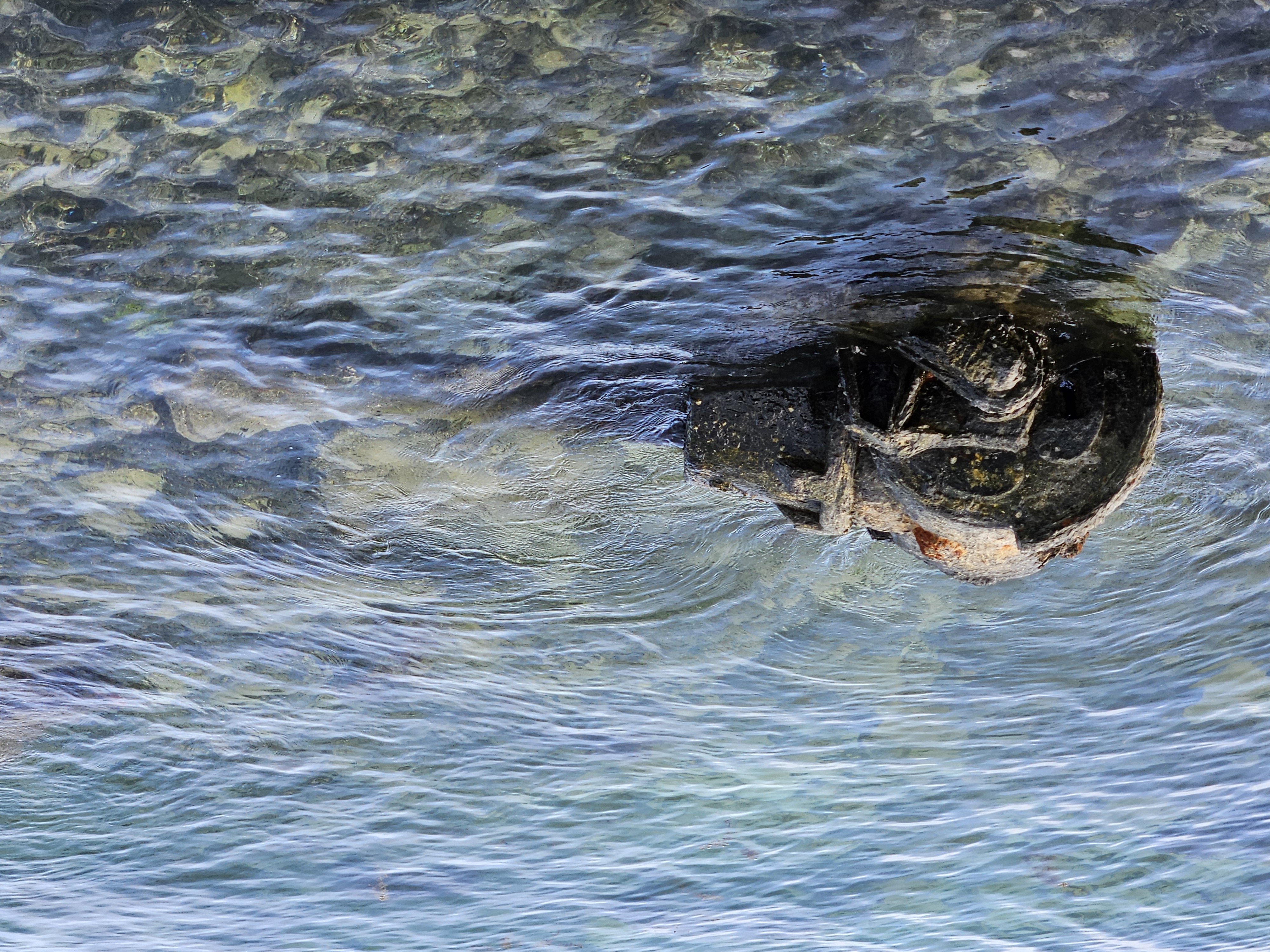Airplane Landing Gear 1.jpg