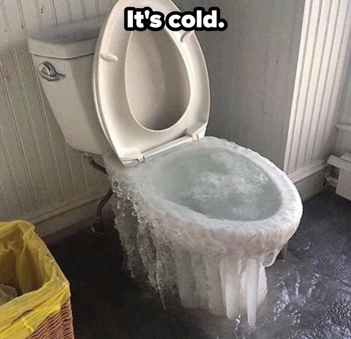 cold toilet.jpg