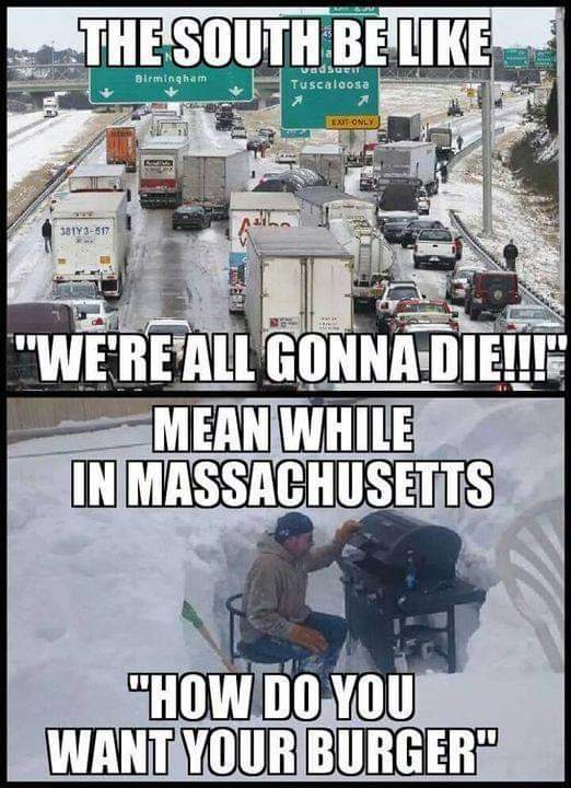 southern USA snow.jpg