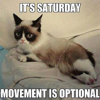 saturday  movement is optional.jpg