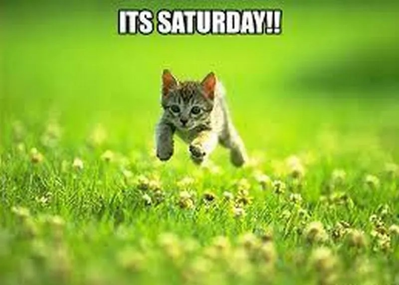 its saturday.jpg