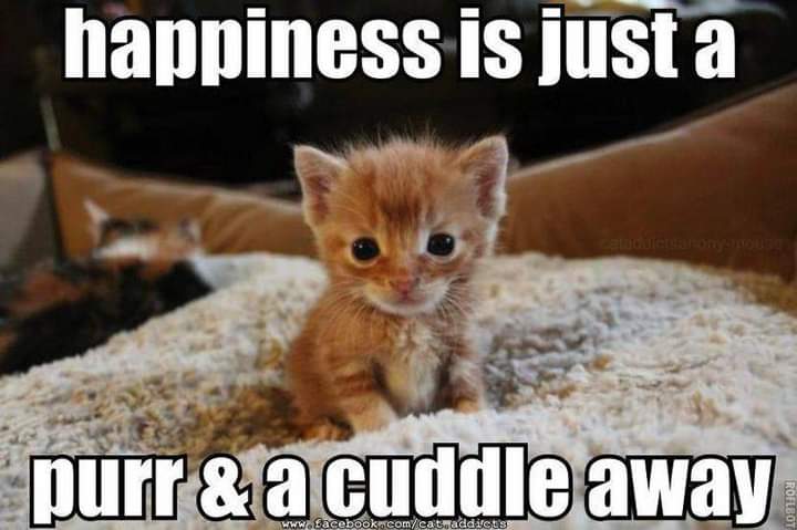 happiness is just a .jpg