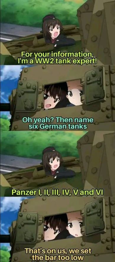 ww2 tank expert.jpg