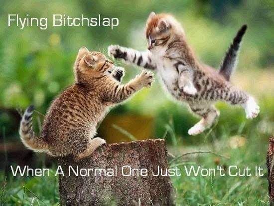 flying bitchslap.jpg