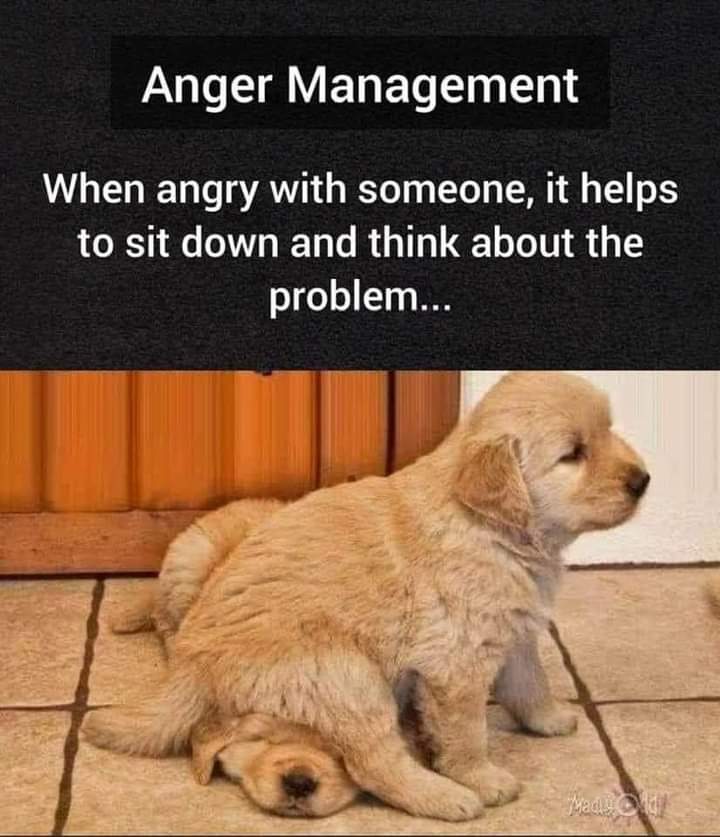 anger management.jpg