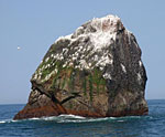rockall.jpg