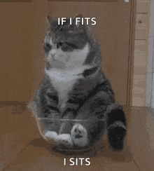 if i fits  i sits.gif