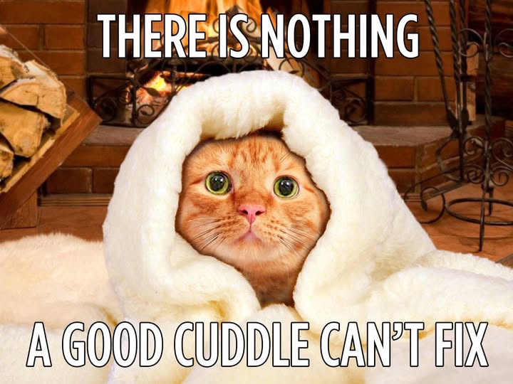 nothing a good cuddle cant fix.jpg