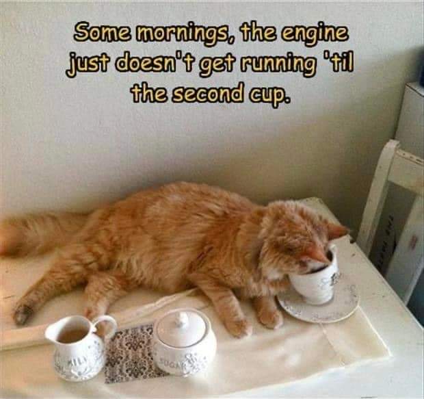 somedays need a second cup.jpg