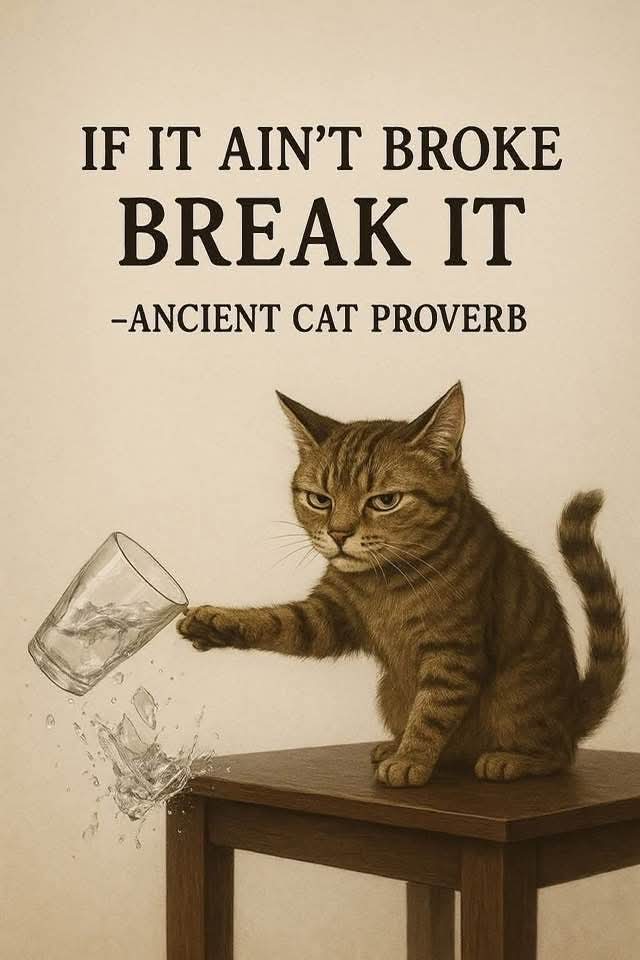 ancient cat proverb.jpg