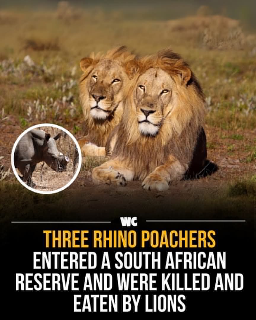 took care of poachers.jpg