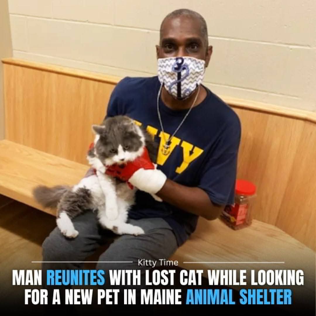 reunited at the animal shelter.jpg