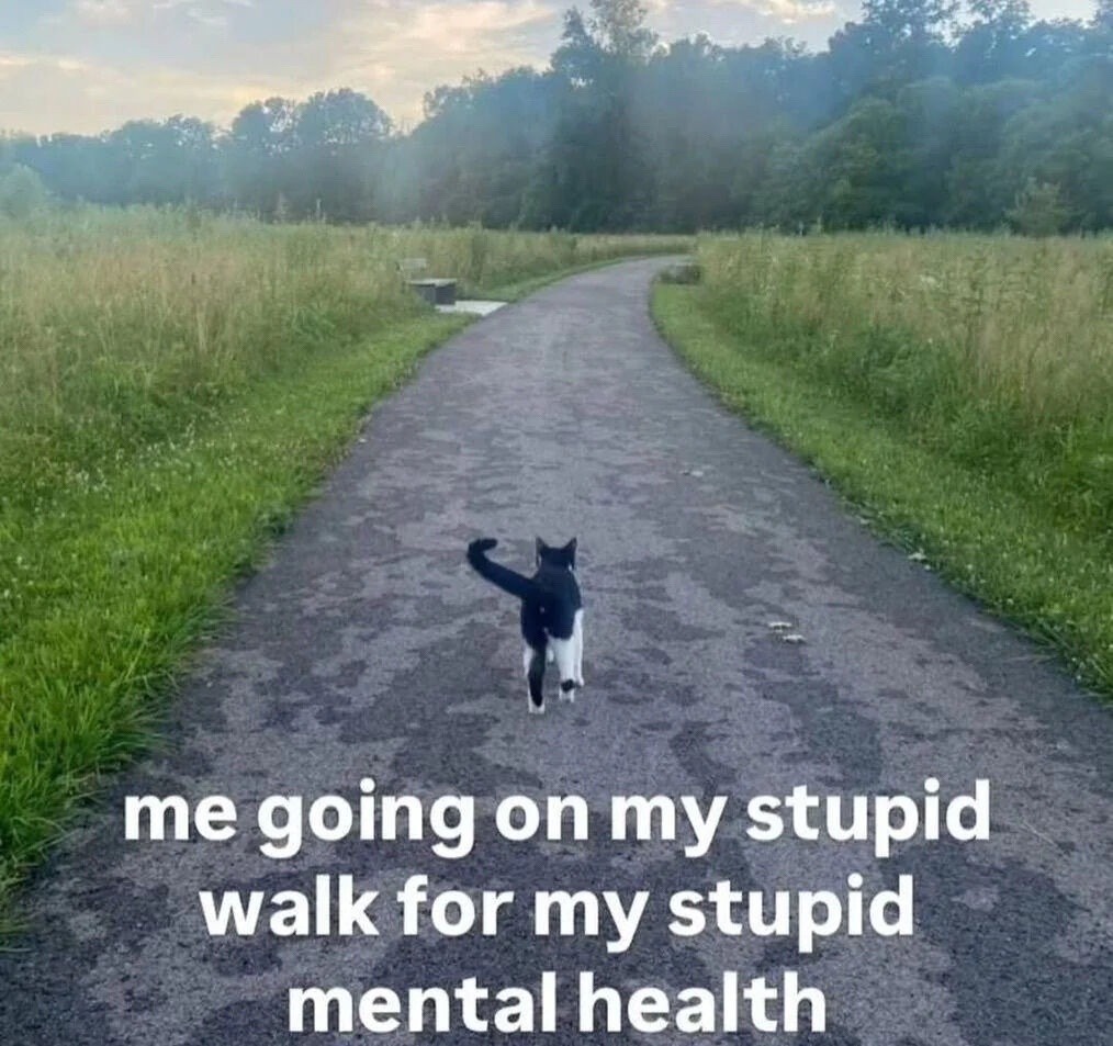 stupid was for stupid mental health.jpeg