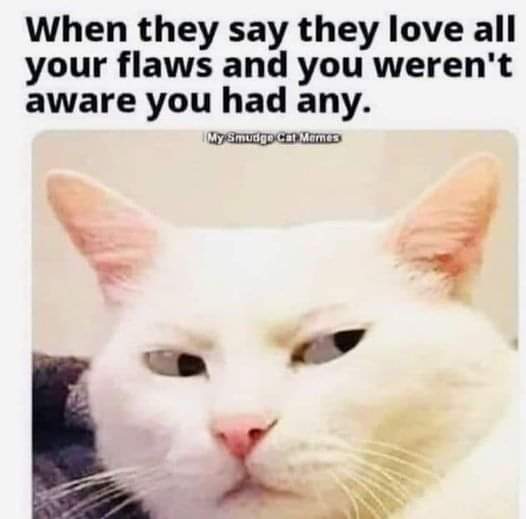 but I have no flaws.jpg