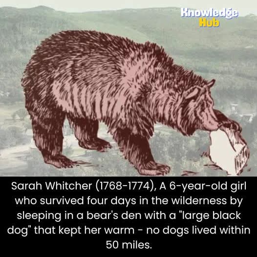 6 year old girl survived with a non-dog.jpg