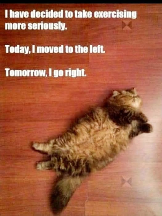 taking exercise more seriously.jpg