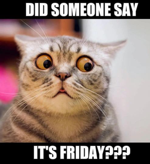 did someone say its friday.png