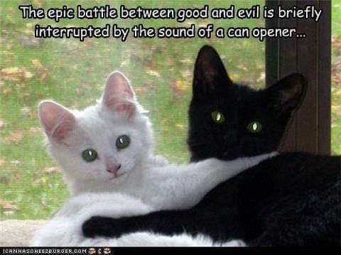 good vs evil fight interupted by a can opener.jpg