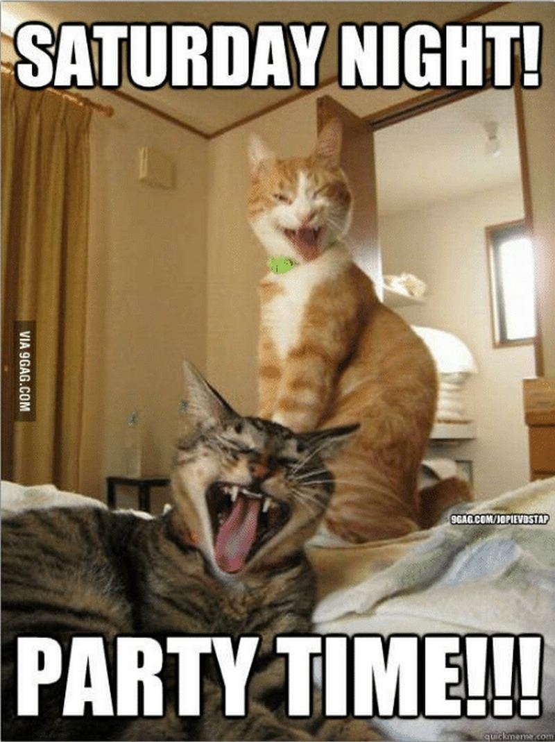 saturday night party time.jpg