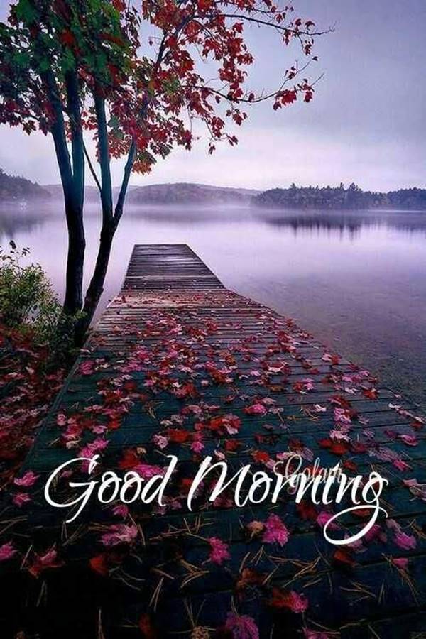 good morning  peace.jpg