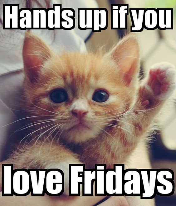 hands-up-if-you-love-fridays-its-friday-memes.jpg