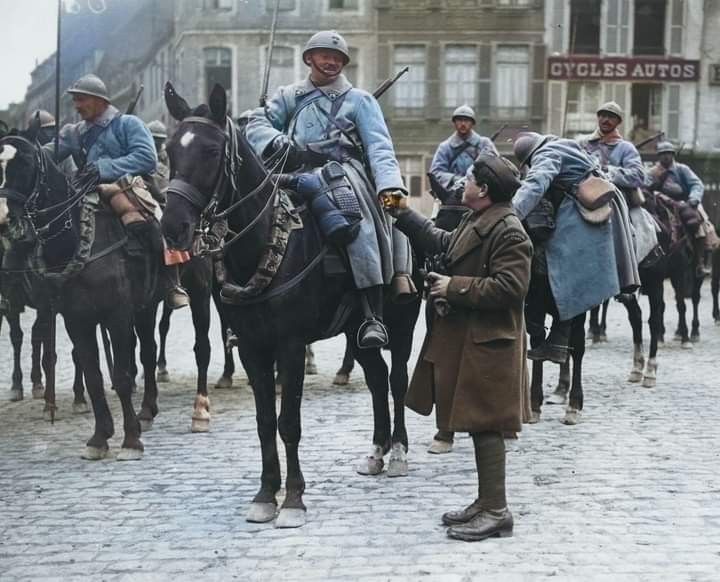 French Cavalry.jpg
