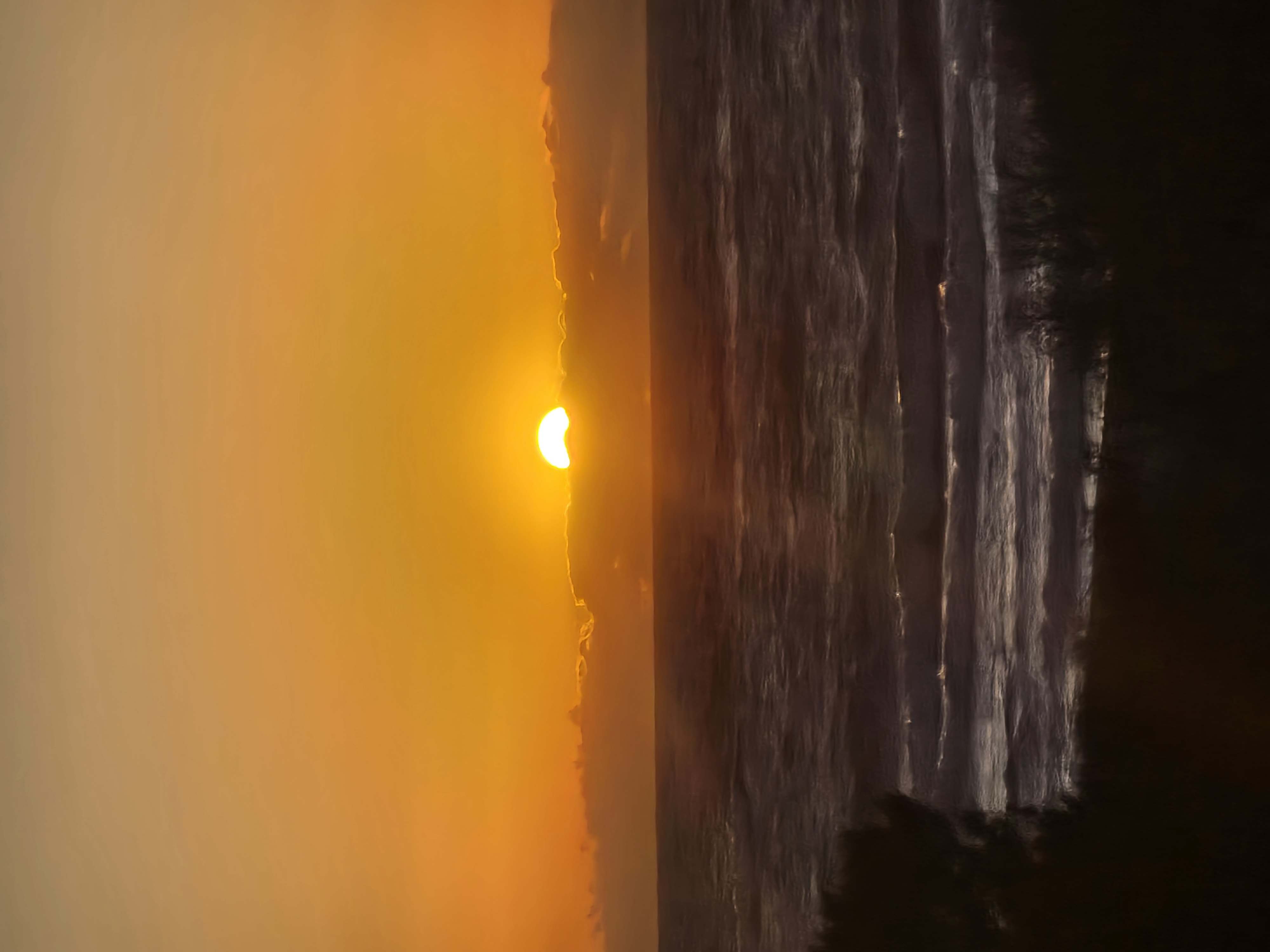 20260531_055452.jpg
