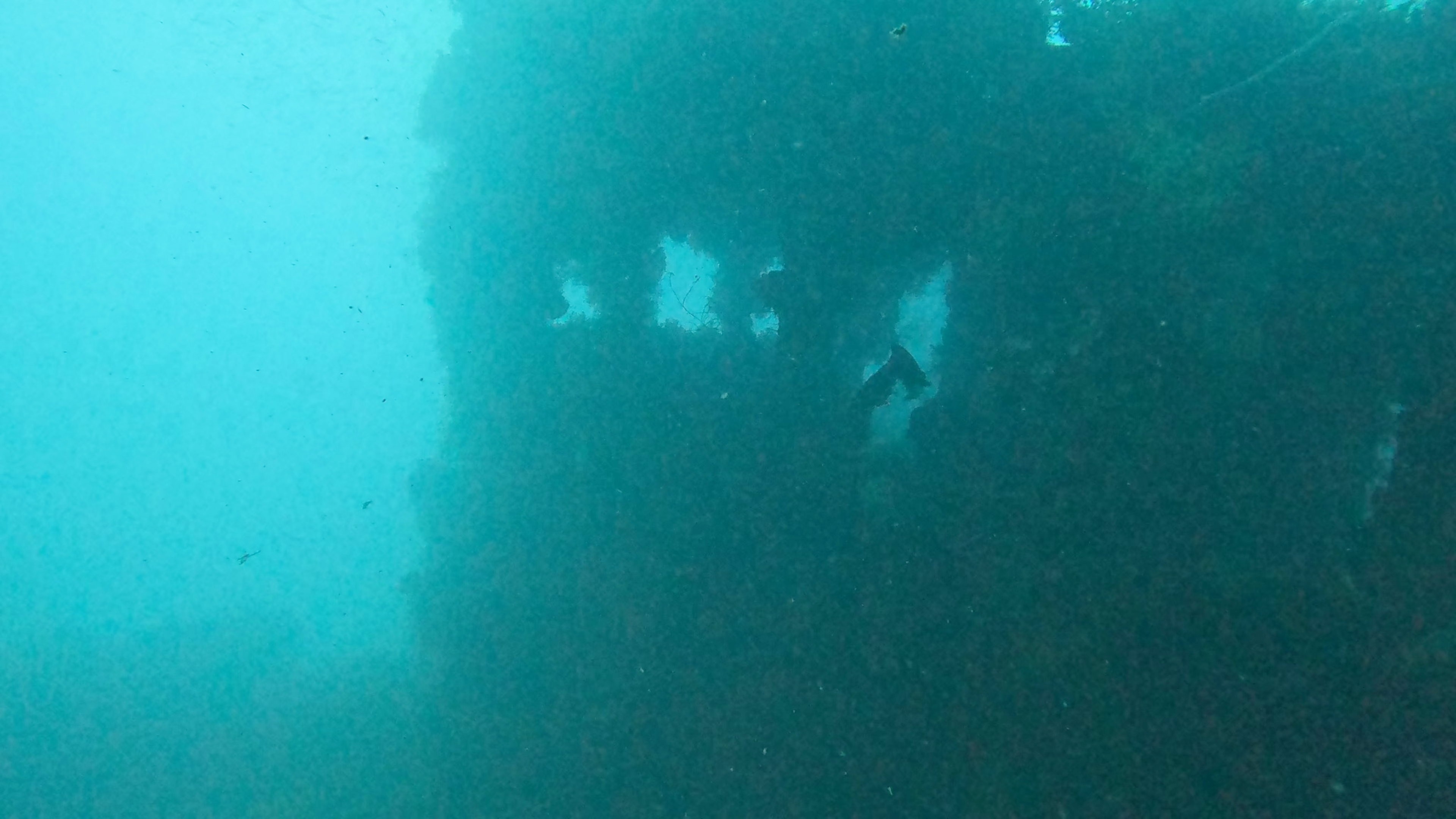 GX011018_1782158357603.jpg