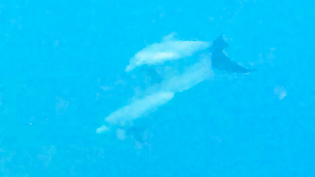 GX011037_1782238998453.jpg