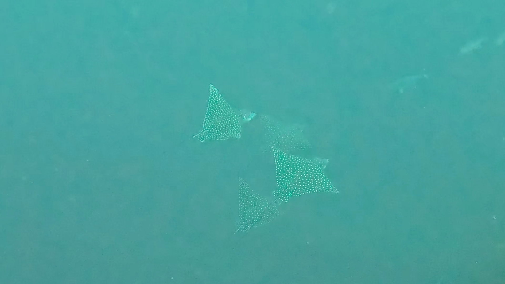 GX010901_1781852091936.jpg