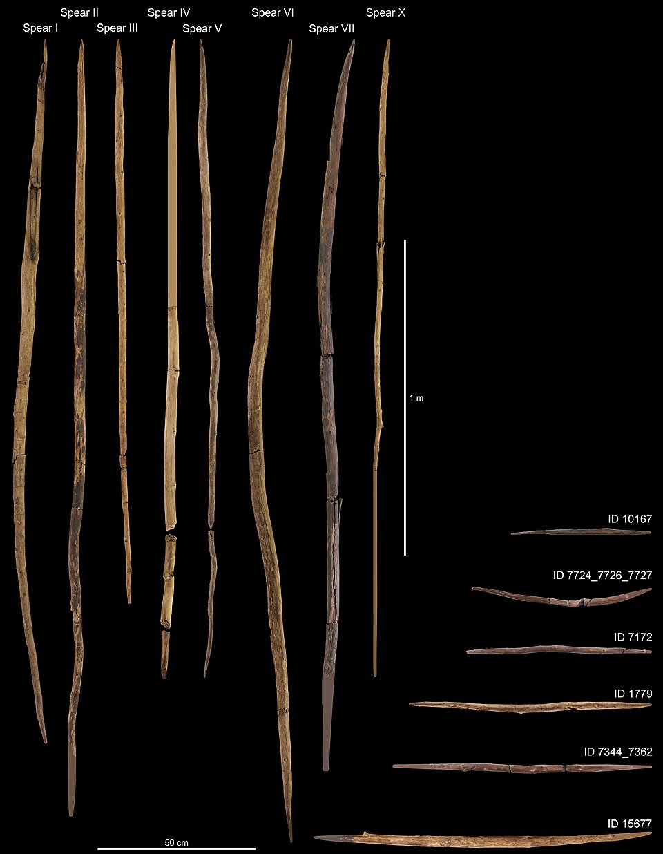 Schöningen_wooden_artifacts_Lower_Palaeolithic.jpg
