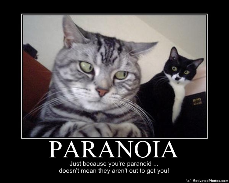Paranoia poster.jpg