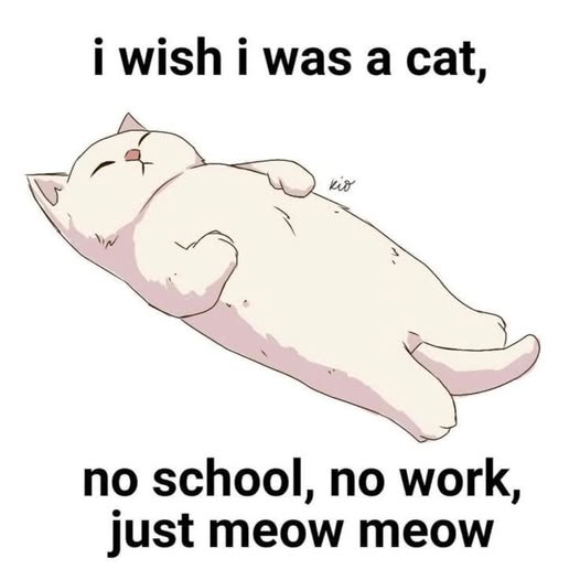 wish i was a cat.jpg