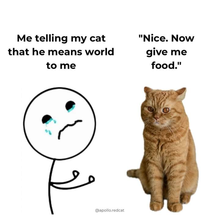 me and my cat.jpg