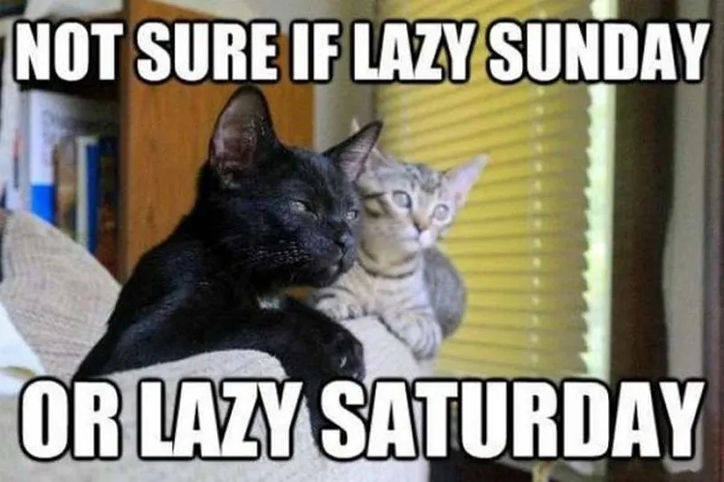 lazy saturday or lazy sunday.jpg