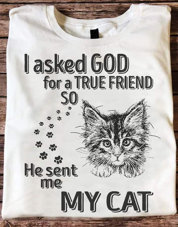 true friend.jpg