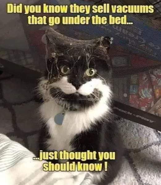 vaccums for under the bed.jpg