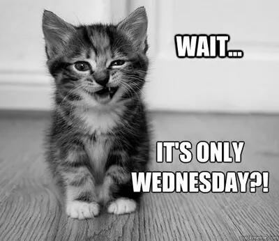 its only wednesday.jpg