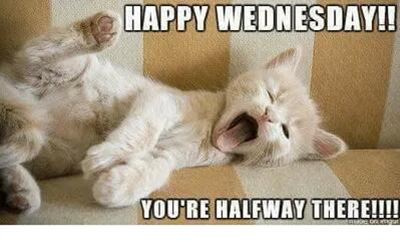 happy wednesday.jpg