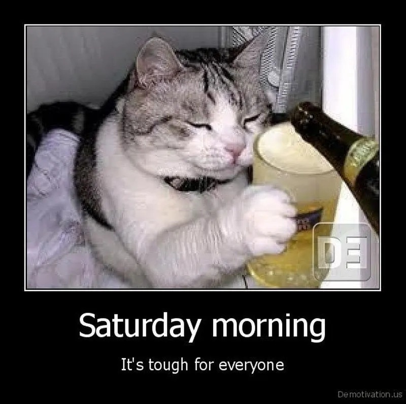 saturday morning  its tough for everyone.jpg