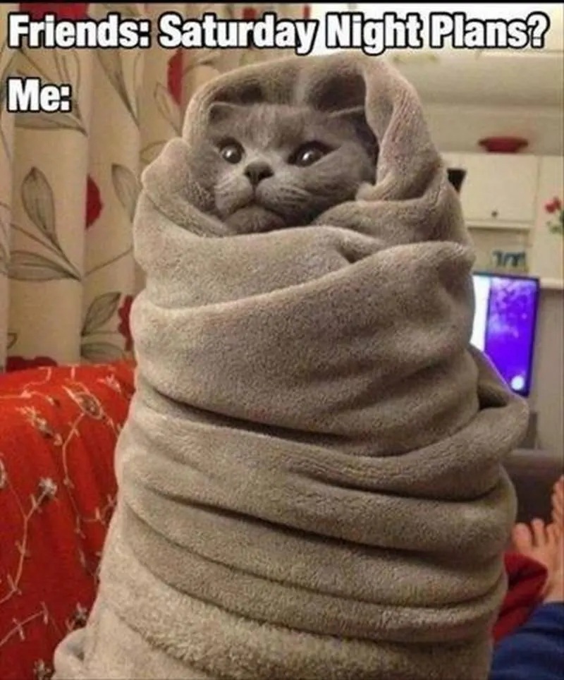 saturday night plans.jpg