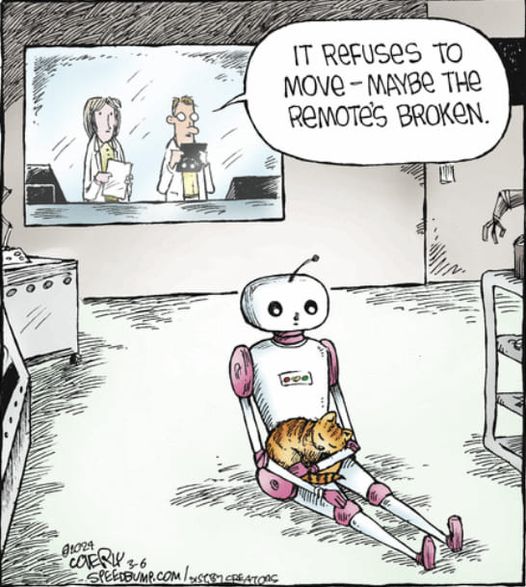 Cat & Robot.jpg
