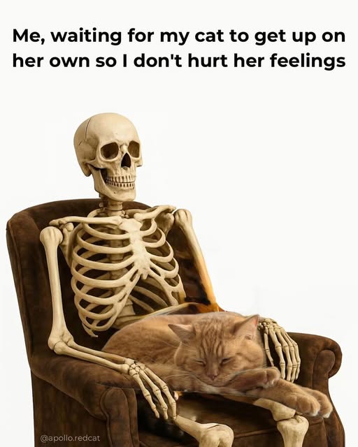 waiting for my cat.jpg