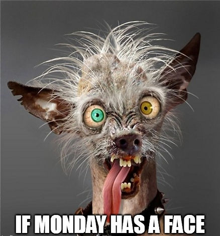 Mondays face.jpg