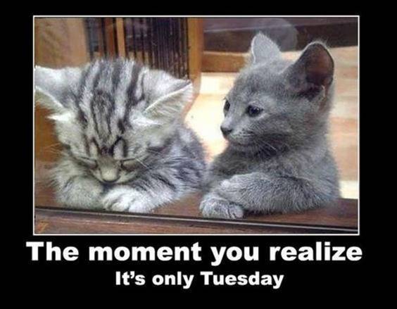 its only tuesday.jpg