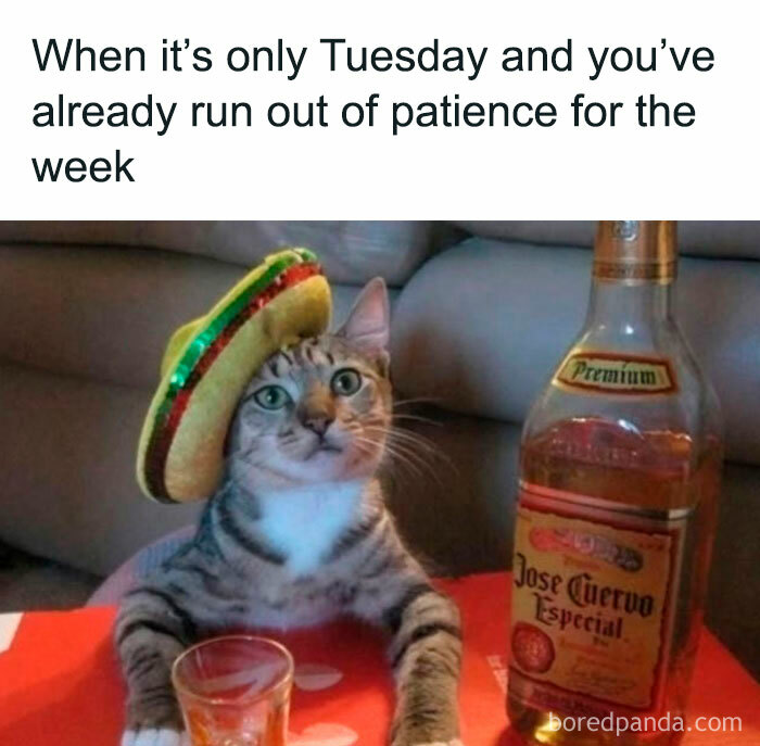 tuesday and patience.jpg