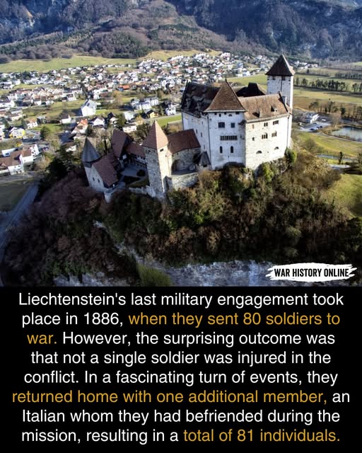 Liechtensteins Army.jpg