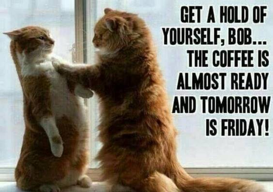 thursday Bob  get ahold of yourself.jpg
